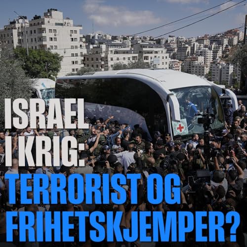 『Israel i krig: Terrorist og frihetskjemper?』のカバーアート