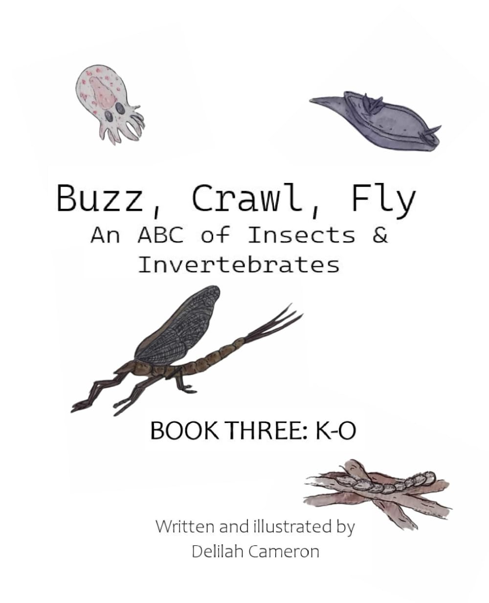 Buzz, Crawl, Fly - An ABC of Insects & Invertebrates: Book 3: K-O
