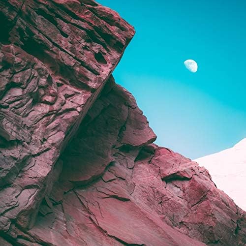 Linked by Bonobo — album cover