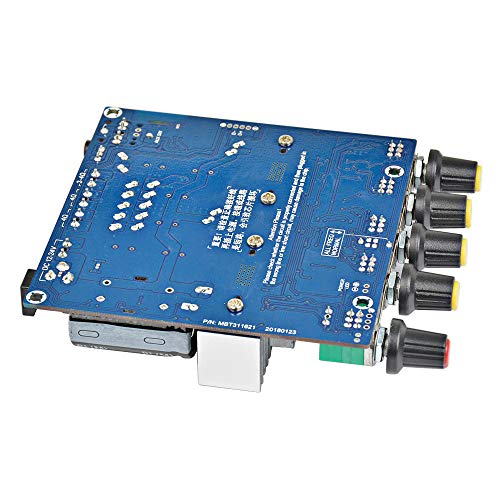 Digitalkey TPA3116 Scheda Amplificatore Subwoofer