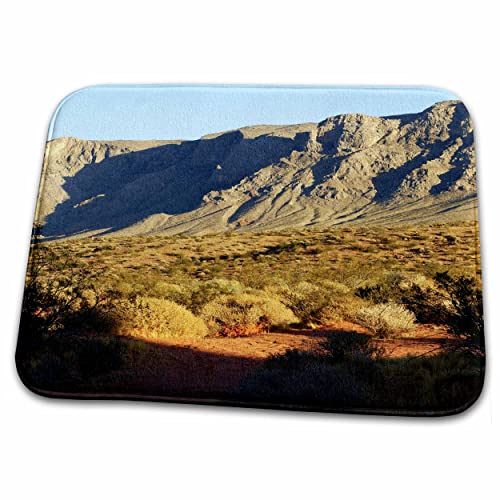 3dRose Florene Desert Landscape - America The Beautiful - Bathroom Bath Rug Mats (rug-28327-1)