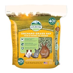 Oxbow Animal Health Orchard Grass Hay – All Natural Grass Hay for Chinchillas, Rabbits, Guinea Pigs, Hamsters, Gerbils & Other Small Pets – Grown in the USA- Fiber Rich- 40 oz.