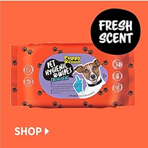 Pet Hygienic Wipes Fresh Scent 30sheets (4 Pack) – Grooming Wipes for Cleaning Face and Deodorizing