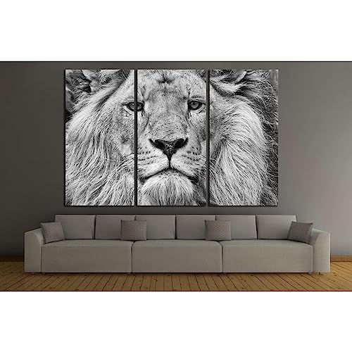 Cuadro de león blanco y negro №187 ZELLART tríptico de gran formato listo para colgar sin marco