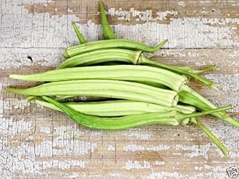 Open-Pollinated Giant Elephant Tusk Okra Seeds for Gardening-(300 Seeds)-image-2