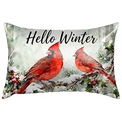 Cardinal-hello Winter