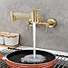 Tecmolog Brushed Gold Kitchen Sink Pot Filler Faucet Wall Mount Brass Hot and Cold Mixer Tap for Kitchen, BJ21241