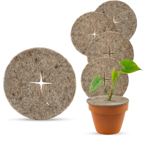 UNIGARDIA Öko-Schafwoll-Mulchscheiben Ø 30 cm, 5 Stück - Winterschutz aus Schafwolle für Pflanzen - 100% Bio-Schafwolle - Pflanzenschutz im Winter, biologisch abbaubar