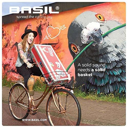 Basil Robin Fahrradkorb - Vorderrad - Stahl - Steuerkopfmontage mit Strebe - für 2628 Inch - Silver Cloud