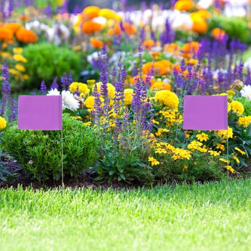 YARNOW 50 Stück Wahrzeichen-Flagge Landschaftsfahnen Rasenmarkierungsfahnen Markierungen für Einfahrtsflaggen Pflanzen Gartenfahnen Markierungen für Rasenfahnen Hofflaggen PVC Violett