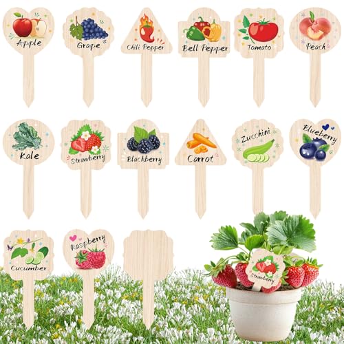JUYRLE Vegetable Plant Label - 15PACK Garden Markers, Fruit Plant Labels for Outdoor Garden Waterproof, Plant Tags with Names, Indoor Patio Tags for Succulent Flowers Greenery Seedling