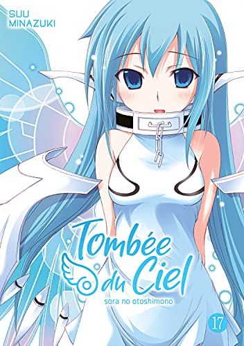 Tombée du Ciel — Tome 17
