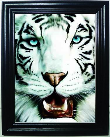 Those Flipping Pictures White Tiger 3D Framed Wall Art-Lenticular Technology Causes The Artwork to Have Depth and Move-Hologram Style Images-Holographic Optical Illusions