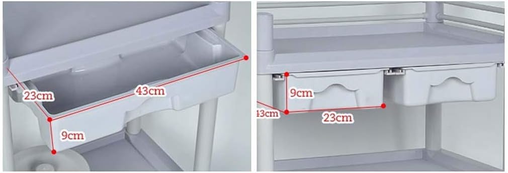 Storage Cart Double Layer with Drawer Beauty Trolley Multifunction Instrument Vehicles Abs Plastic Hospital Clinic Small Carts Load 100 Kg