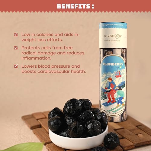 Image of JoySpoon Dried Plum Berry Mukhwas| Sugar Free Traditional Indian Mouth Freshener| Supari Free After-Meal Digestive Snack| No Artificial Colour & Preservative| Natural Fruit-Based Mouth Freshener| 125g