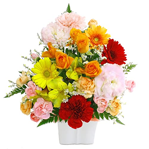 [Flowerfarm(t[t@[)]  ԑ  t[AWg flower v[g 蕨 Mtg a LO j NX}X ̓ ̓ ސE (~bNX)