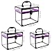 SHANY Clear Cosmetics and Toiletry Train Case - Clear Travel Makeup Bag Case Organizer with Secure Closure and Black/Purple Accents - 3PC Set