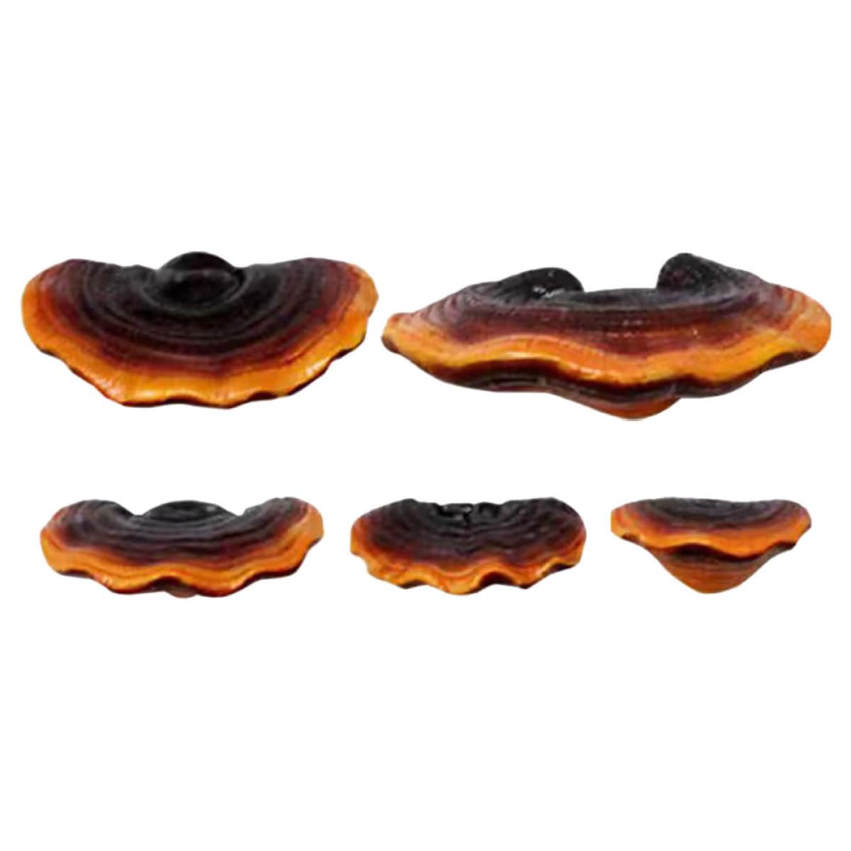 Figurines de champignons ganoderma pour créer un coin féerique sur votre pelouse