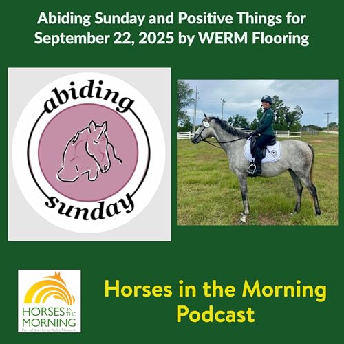 Abiding Sunday and Positive Things for September 22, 2025 by WERM Flooring cover art