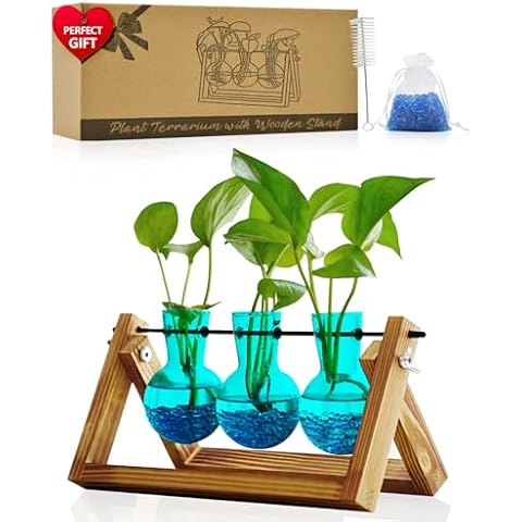 Nacome Plant Terrarium for Office Decor: Wooden Stand Tabletop Planter 3 Bulb Glass Vase Metal Swivel Holder for Hydroponics Home Garden Decor-Planter Lovers Birthday Gifts for Women Mom Grandma[Blue] Cover
