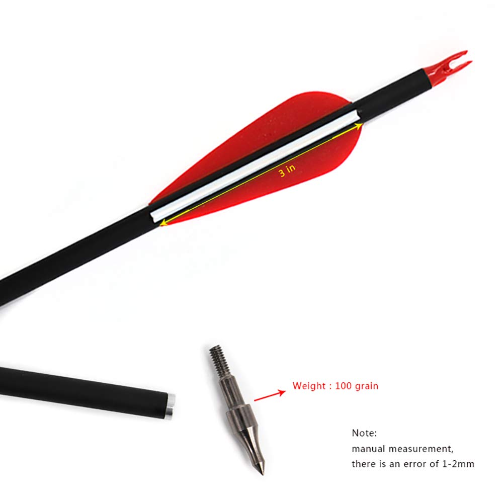 12 Frecce In Carbonio SP500 Per Tiro Con L’Arco – 80 Cm, 100 Grani – Per Arco Ricurvo E Composto