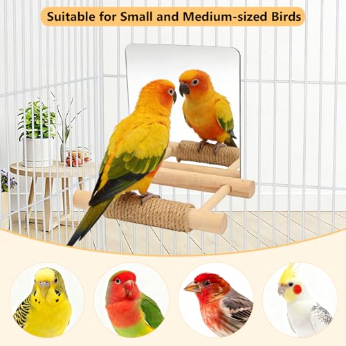 Image of Litewoo 6.7 inch Bird Mirror for Cage Wooden Hanging Parrot Perch Swing Toy | Acrylic mirror with wooden stand, hemp rope for foot care, reduces bird loneliness, for parakeet /budgie /cockatiel /lovebird
