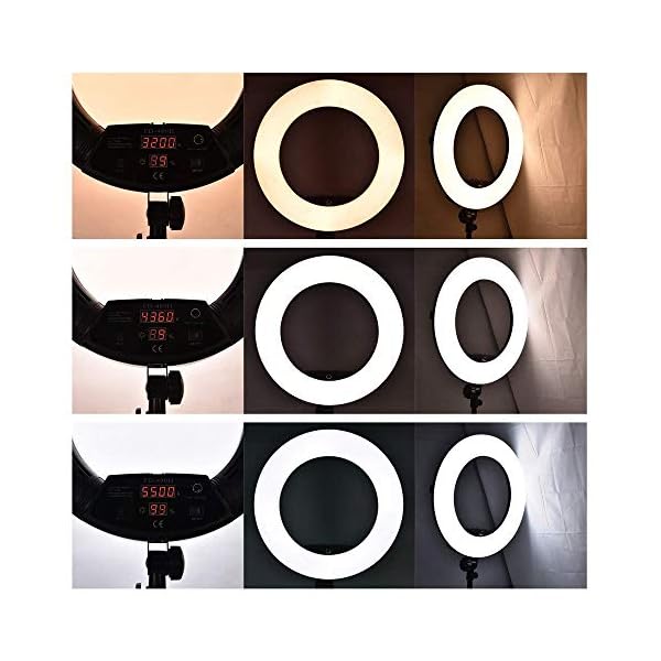 Kamera Foto Video Beleuchtung Kit Fotografie Video Licht FD-480II Led Ring Fotografie Licht Anker Video Fülllicht… – Bild 6
