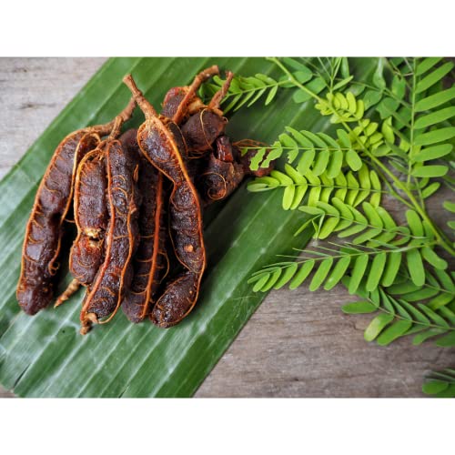 Foto von Quast Meerrettich Frische Tamarinden, 100% Süße Tamarinden, Sauerdatteln aus Thailand (400 g)