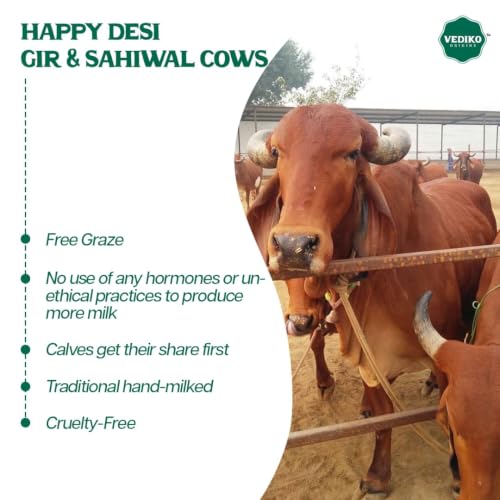Image of Vediko Origins A2 Gir Cow Ghee | Traditional Bilona Method | Curd-Churned & Firewood-Cooked | Grass-Fed Desi Gir Cows | Danedar, Ayurvedic, Lactose-Free Ghee (100ml)