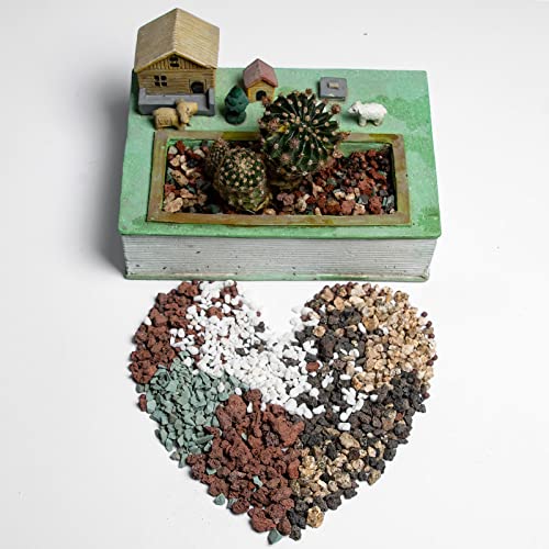 Top 20 Best Soil For A Money Tree Reviews & Buying Guide BNB