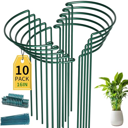 TCBWFY 10 Pack Garden Plant Support Stakes 10 Widex16 High Heavy Duty Interlinked Half Round Peony Support Ring Cage for Indoor Outdoor Plants Plant Supports for Peony Tomato Hydrangea Rose