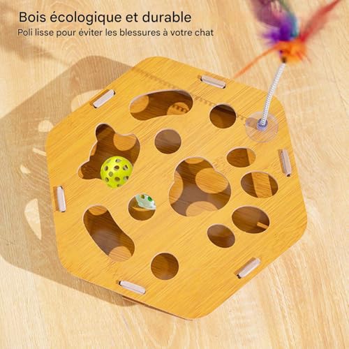 Boîte à griffes puzzle pour chat avec canne interactive de jeu