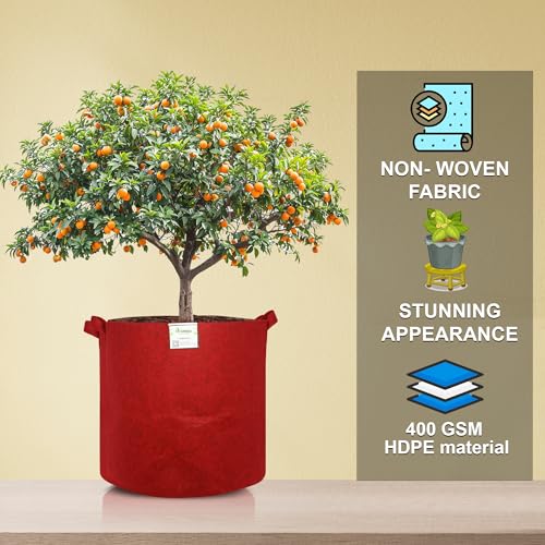 Image of Geo Fabric Grow Bags 24X24 Inch (Pack of 1) | 400 GSM UV-Protected Vegetable Plant Bag | Grow Bags for Terrace Gardening Maroon | Heavy Duty Plant Grow Bag