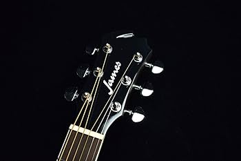 Amazon | James J-450D/Ova Natural アコースティックギター