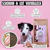 TIERLIEBHABER – Huhn mit Reis 250g Trockenfutter für Hunde – Tierärztlich entwickelt – Schonendes & Monoprotein Hundefutter für Hunde mit sensibler Verdauung – Hypoallergen & gut verträglich Dog Food