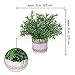 3 Pcs Artificial Plants Small Potted Plastic Fake Plants Rosemary Faux Greenery Topiary Shrubs Plant in Rustic Cement Pots (Green)