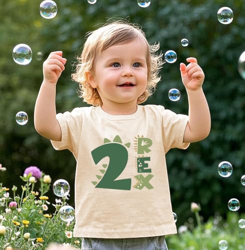 Image of Toddler Boys Girls 2nd Birthday Shirt Outfit for Kids Two Years Old Birthday Gift for Party Short Sleeve Tshirt