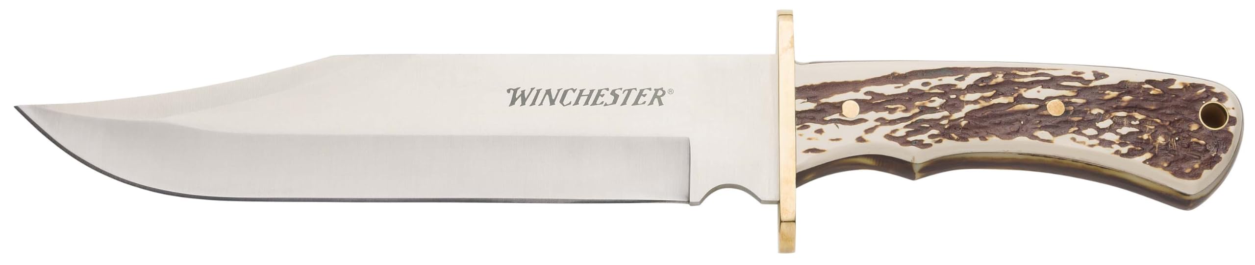 Winchester Knives Stag Handle Bowie Knife Extra Large 13.75 inch Length for Hunting and Camping; Includes Nylon Belt Sheath and Lanyard Hole