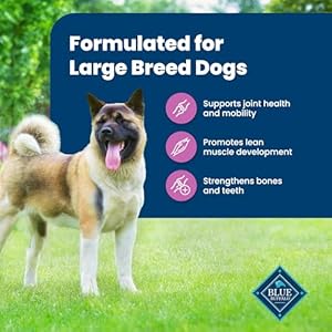 Blue-Buffalo-Life-Protection-Formula-Large-Breed-Adult-Dry-Dog-Food-Promotes-Joint-Health-and-Lean-Muscles-Made-with-Natural-Ingredients-Lamb-Brown-Rice-Recipe-30-lb-Bag - Cucciolini Doodles   Blue-Buffalo-Life-Protection-Formula-Large-Breed-Adult-Dry-Dog-Food-Promotes-Joint-Health-and-Lean-Muscles-Made-with-Natural-Ingredients-Lamb-Brown-Rice-Recipe-30-lb-Bag