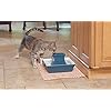 PetSafe-Cat-and-Dog-Water-Fountain-Automatic-Water-Dispenser-Drinkwell-Pagoda-Ceramic-Fountain-for-Pets-Filter-Included-Blue-70-oz-ModelPWW00-14898 Ceramic Fountain for Pets