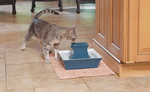 PetSafe-Cat-and-Dog-Water-Fountain-Automatic-Water-Dispenser-Drinkwell-Pagoda-Ceramic-Fountain-for-Pets-Filter-Included-Blue-70-oz-ModelPWW00-14898 Ceramic Fountain for Pets
