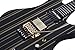 Schecter Synyster Gates Custom-S - Black with Gold Stripes