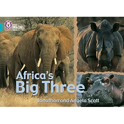 Africa&rsquo;s Big Three
