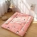 Matelas Et Bases De Matelas Matelas De Sol Confortable Tapis De Lit Épaissi Tapis Pliant Tatami Coussin Paresseux Drap De Sol 135X200Cm No6