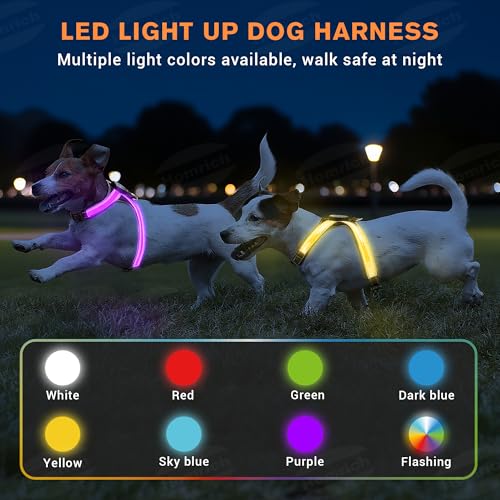 LED Leuchtgeschirr für Hunde - Aufladbar & Reflektierend Hundegeschirr, 3-Lagiges Air Mesh für Atmungsaktivität & Komfort, Verstellbar für Mittelgroße bis Große Hunde, Nachtsicherheit für Spaziergänge