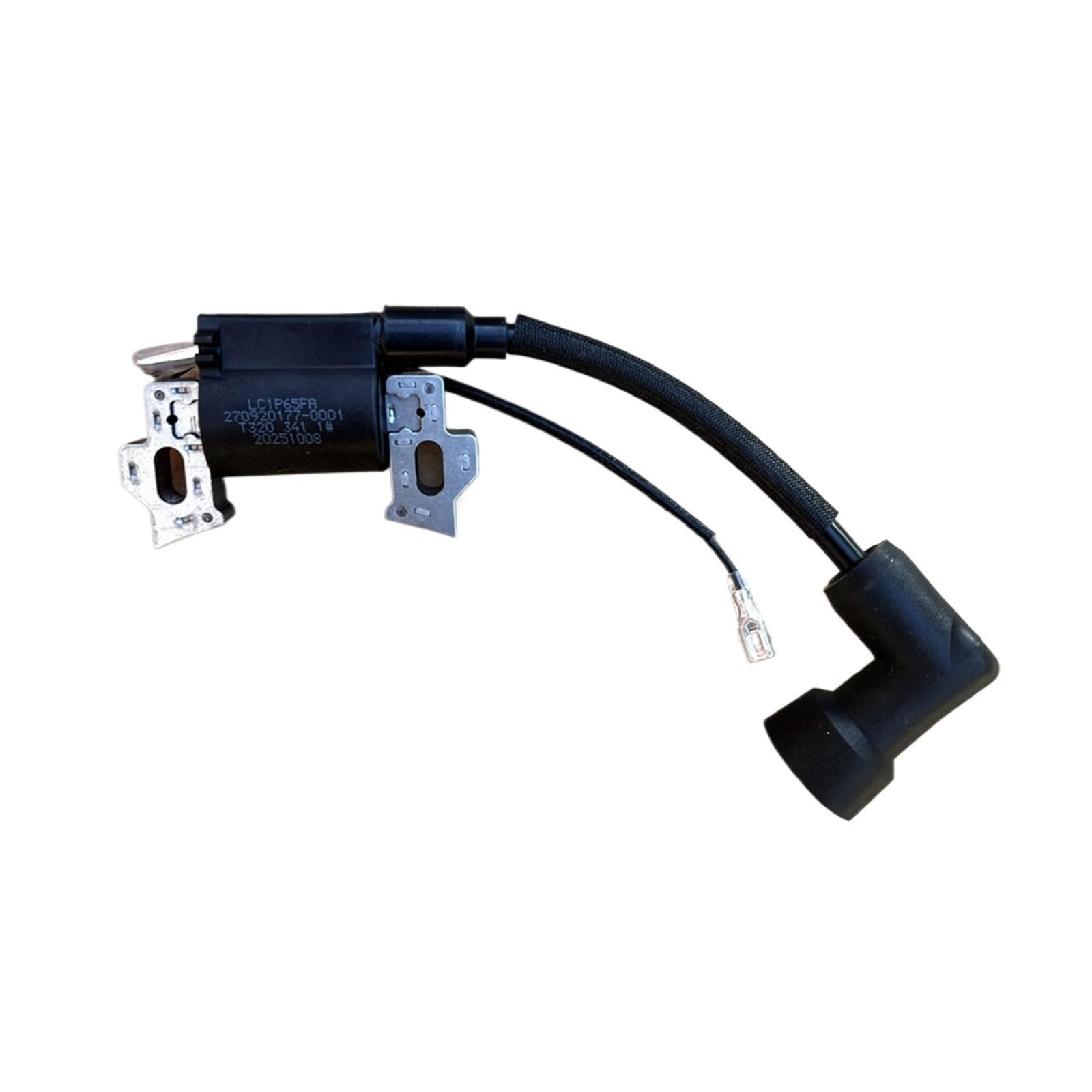 Zündspule für LC1P65FA LC1P70FA LC1P65F 196CC Gummiboot Außenbordmotor-Propeller Gasmotor
