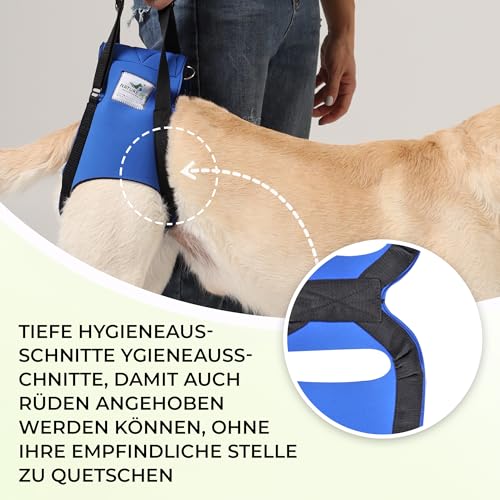 Nature Pet © - Tragehilfe Hund hinten - Verstellbarer Hunde Tragegurt als Treppenhilfe - Ideal für ältere, kranke oder operierte Vierbeiner - Praktische Unterstützung für Mobilität (M, Blau)