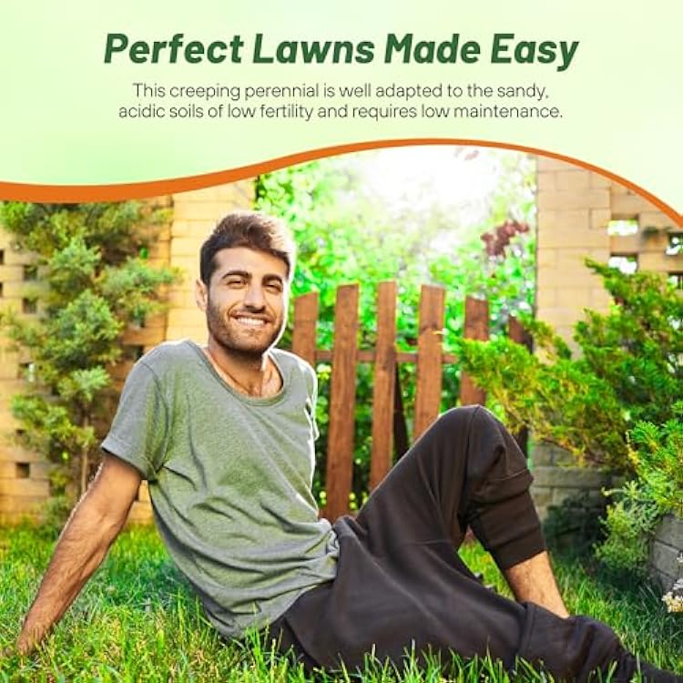 Outsidepride Centipede Grass Seed - 1 Lb Slow Growing, Shade & Drought Tolerant, Coarse Leaved Warm Season General Purpose Turf Grass Seed, Ideal Versatile & Low Maintenance Lawn Solution