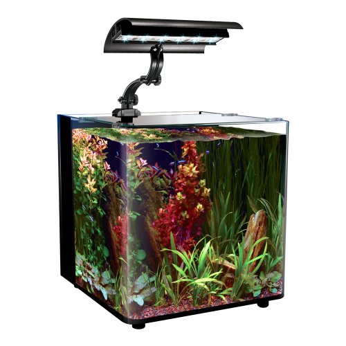 Wave-Point 3-Watt Micro Sun Super Blue And Daylight Led Clamp On Light, 6-Inch #TOP3