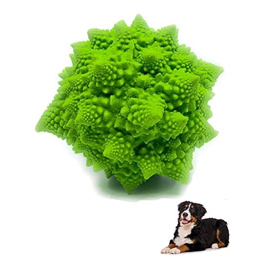 XL Squeaky Dog Toy - Large and Medium Dogs - Sensory Nubby Dog Toy Broccoli - Natural Rubber (Latex) - Free from Harmful Chemicals (Green)